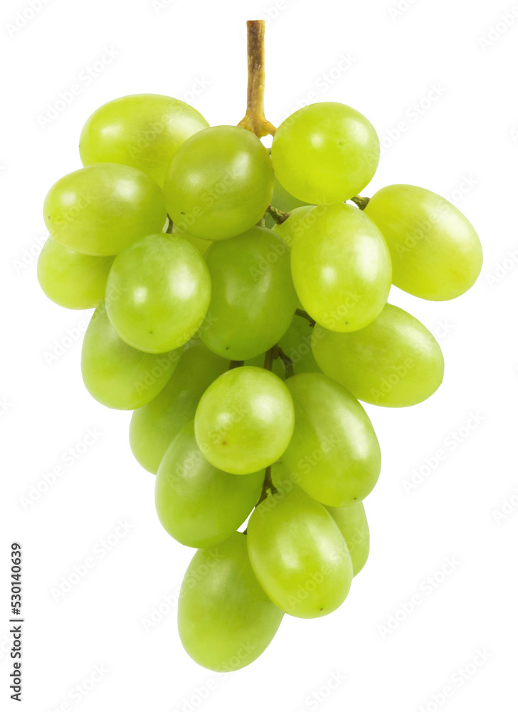 Grapes isolated. A bunch of ripe green grapes on a white background. Fresh fruits. Grapes isolated. A bunch of ripe green grapes on a white background. Fresh fruits.