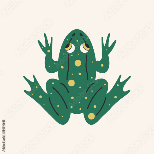 Drawing vector of a green frog with yellow spots. Top view, realistic drawing. Flat design isolated on a light background.