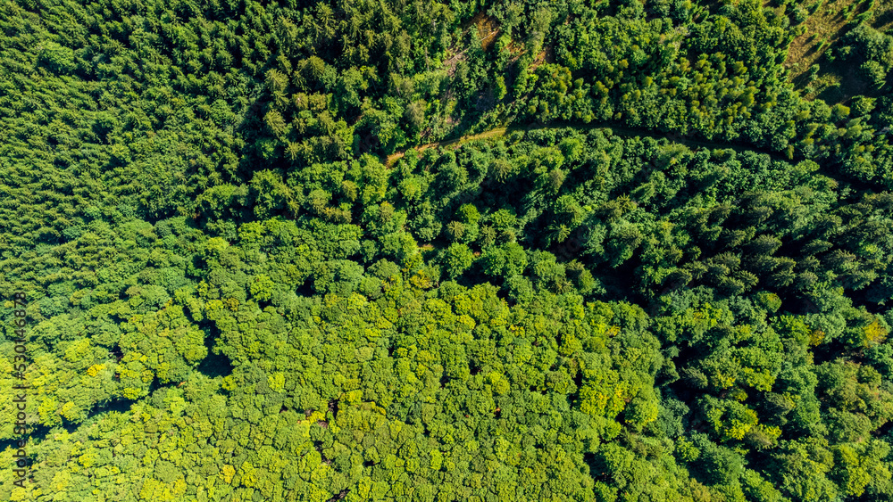 Spätsommerwanderung entlang des Rennsteigs bei schönstem Sonnenschein - Deutschland Spätsommerwanderung entlang des Rennsteigs bei schönstem Sonnenschein - Deutschland