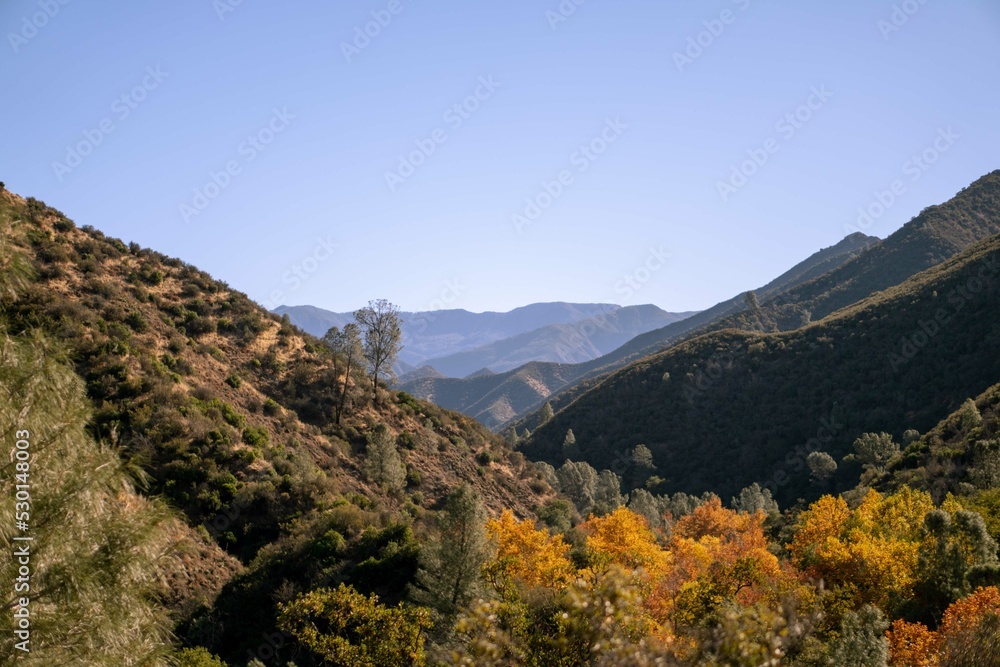 Autumn Canyon Landscape