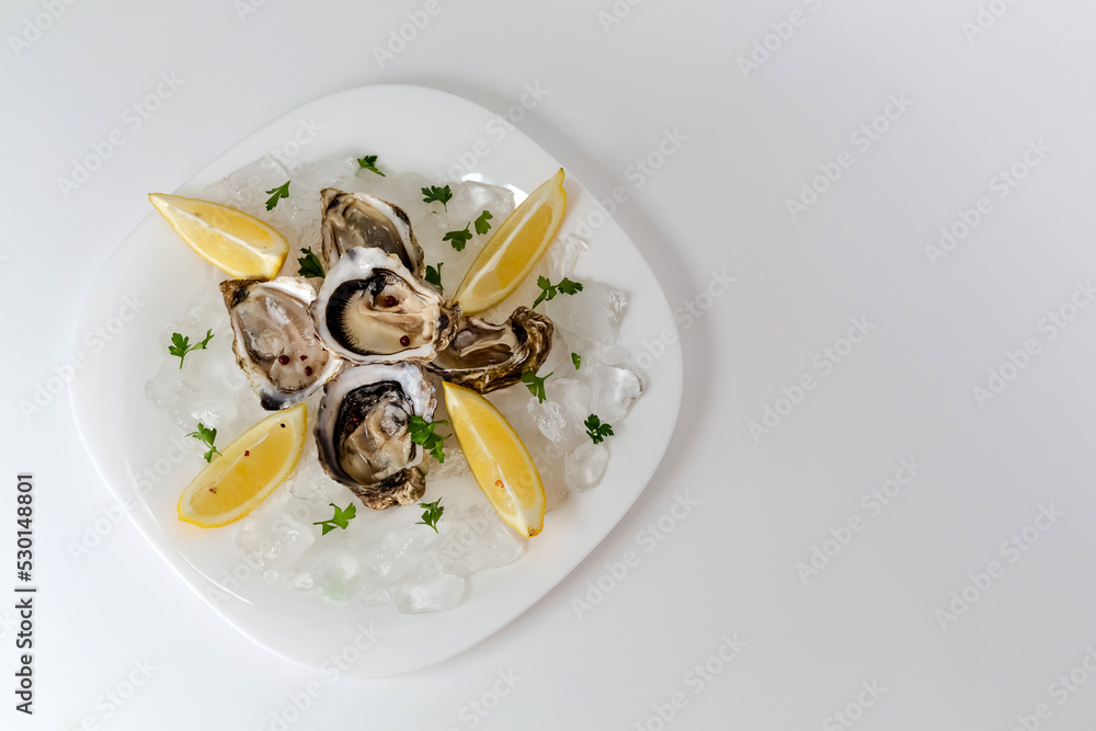 Oysters with lemon. Served white plate. White background. Oysters with lemon. Served white plate. White background.