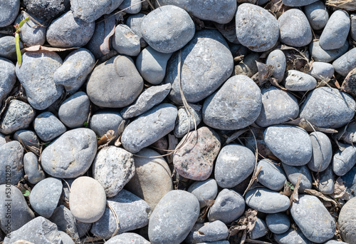 Photography stones on the beach