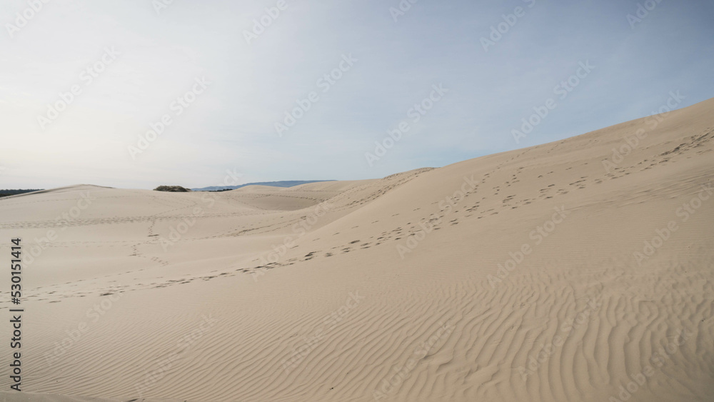 Sand dunes in the desert