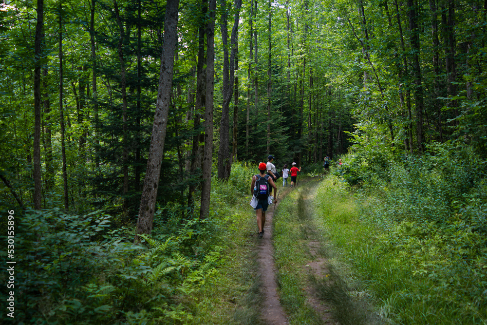Arrowhead provincial park, Ontario, Canada - Family hiking the park trail between the dense and luxuriant trees and foliage