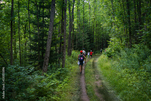 Arrowhead provincial park, Ontario, Canada - Family hiking the park trail between the dense and luxuriant trees and foliage © Chandra