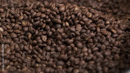 Close up of seeds of coffee