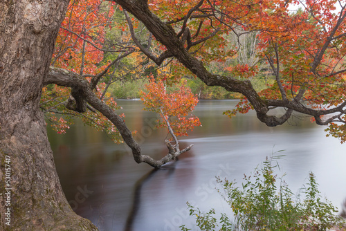 Autumnal branches scrape the river flowing out of Mary Lake at Port Sydney, Northern Ontario, Canada.