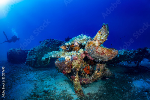 Принти на полотні A sunken world war two fighter propeller airplane at the seabed of the Aegean Se