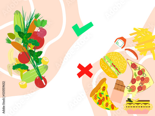The concept of dividing food into healthy or unhealthy to eat, with check marks. Fruits, vegetables and fast food isolated on a white background