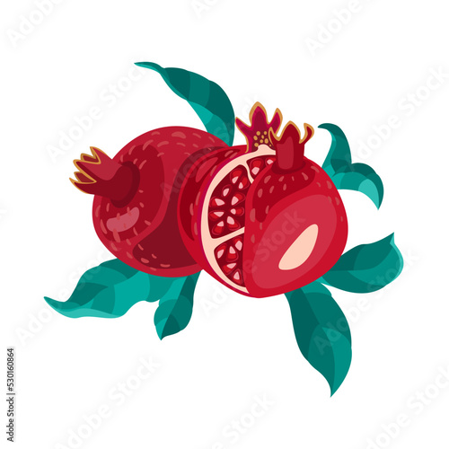 Pomegranate fruit with leaves.Hand drawn illustration.