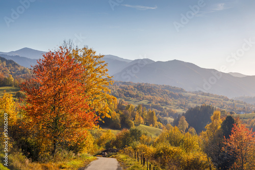 Mountainous landscape in the autumn season. The Mala Fatra national park in northwest of Slovakia, Europe.