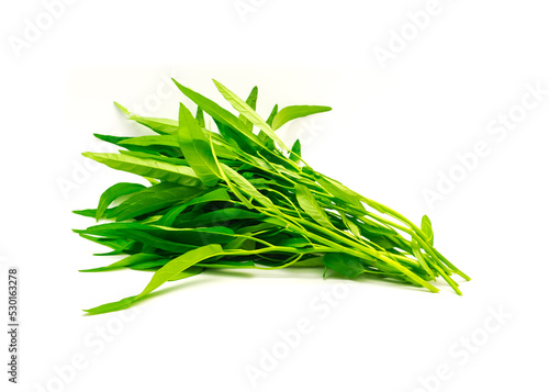 Bunch of fresh cut water spinach or kangkung plant with tender shoots isolated on white background photo