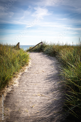 Fototapeta Naklejka Na Ścianę i Meble -  sandy path leads over the dunes to the Baltic Sea beach