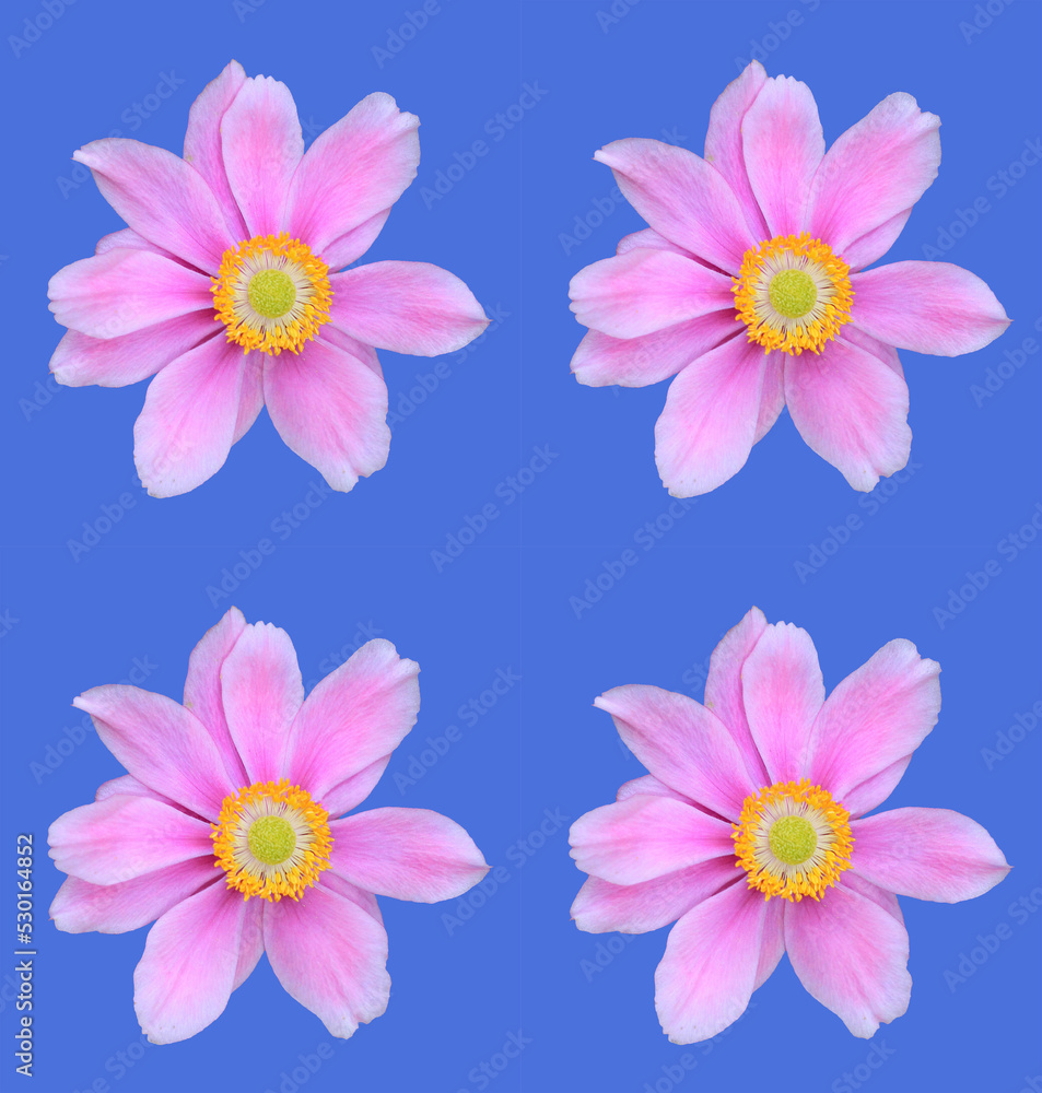 Floral greeting card design Floral greeting card design
