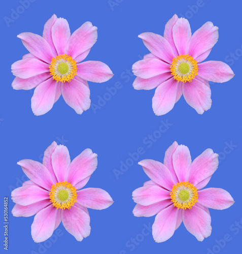 Floral greeting card design © Chris