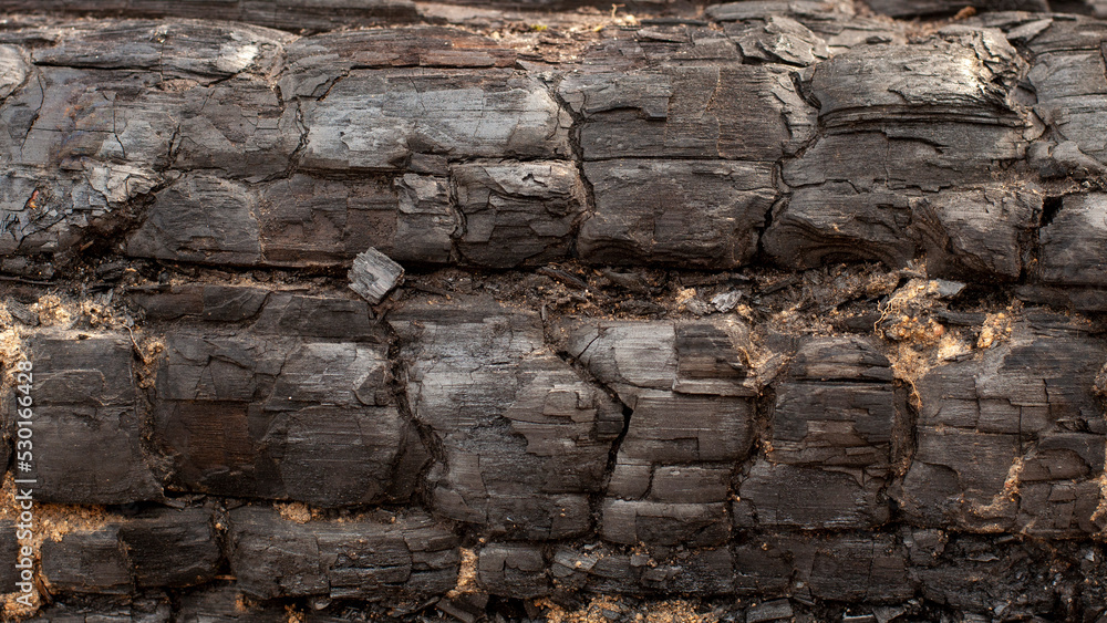 Fototapeta premium close-up of burnt log for use as background. metall details on the surface of charcoal.