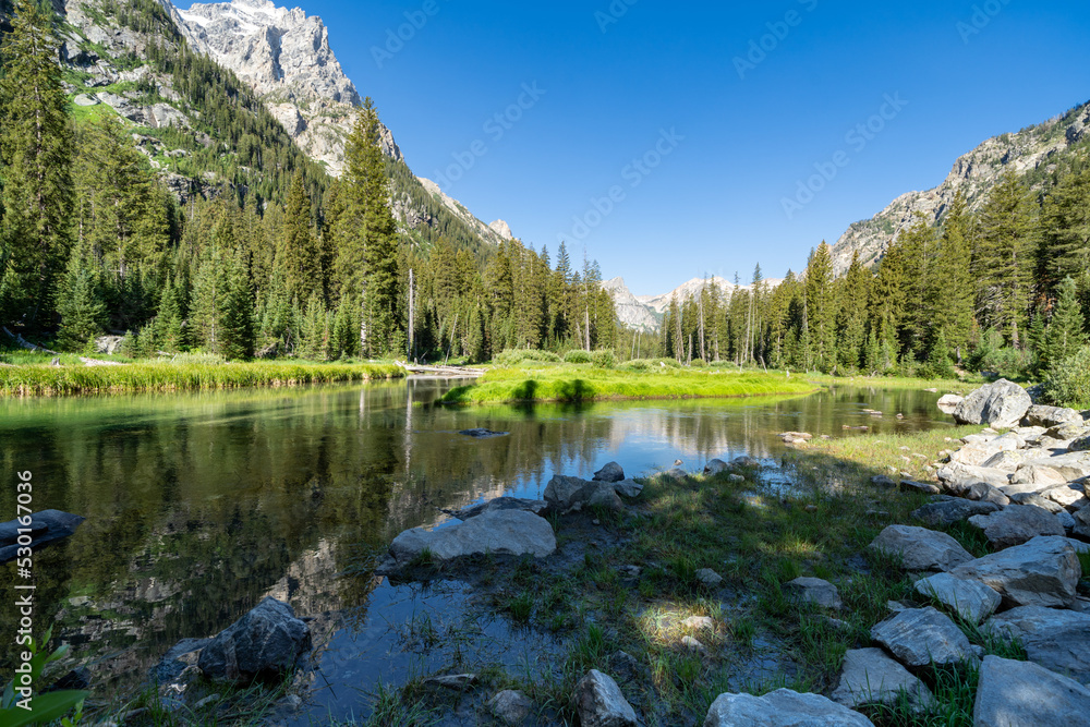 Pond on a summer morning along the Cascade Canyon Trail in Grand Teton National Park Wyoming