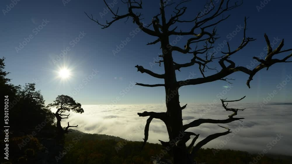 The sun rises above moving clouds in this cinematic timelapse at Mount Magazine Arkansas The sun rises above moving clouds in this cinematic timelapse at Mount Magazine Arkansas