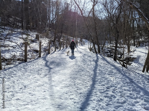 Walking Dog in Toronto along Snowy Winter Trail © Katie