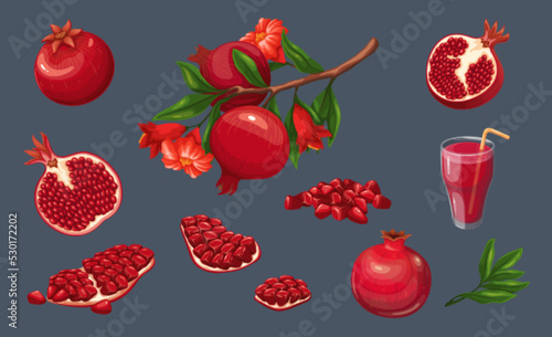Pomegranate set vector illustration. Cartoon isolated summer garnet fruit with ruby seeds, juice in glass with straw, garden branch with juicy whole pomegranates, and cut in half, quarter and slices
