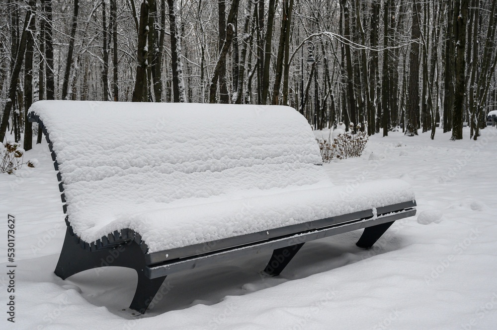 A snow-covered wooden bench stands in a winter city park covered with a layer of white fluffy snow. Tall trees grow all around.