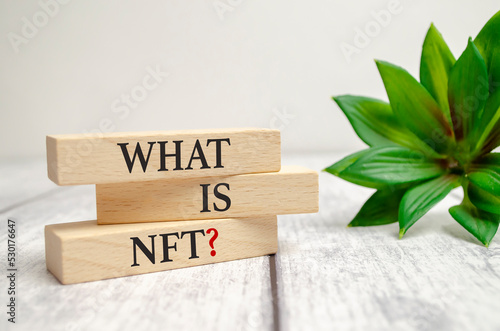 WHAT IS NFT text on wooden blocks and plant on white background