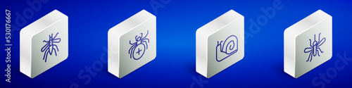 Set Isometric line Mosquito, Spider, Snail and icon. Vector