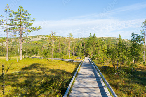 Hiking trail in Fulufjallet National Park in Dalarna, Sweden. Popular tourist destination for hiking.