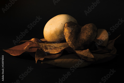 Photos Funghi - Still life - autunno-