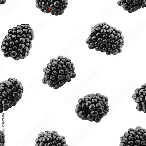 Blackberry isolated on white background, SEAMLESS, PATTERN