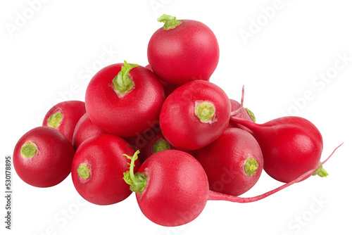 Radish isolated on white background, clipping path, full depth of field