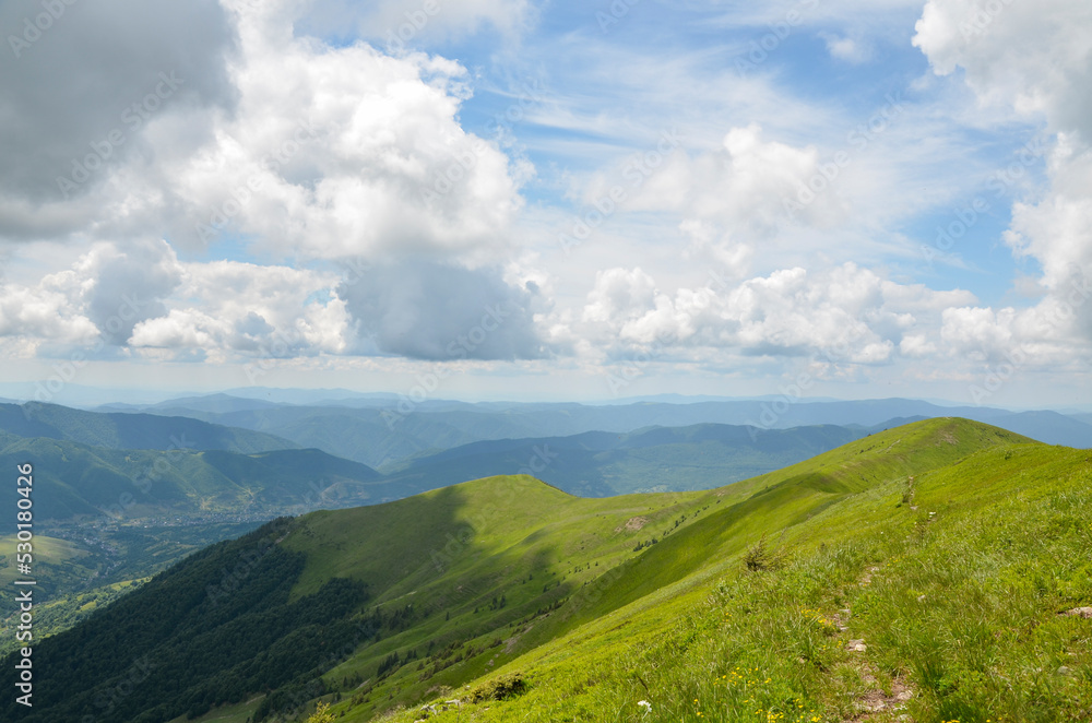 The view of green slope and forest on mountain ridge in summer day. Carpathian Mountains, Ukraine