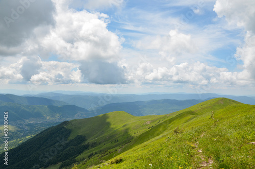 The view of green slope and forest on mountain ridge in summer day. Carpathian Mountains, Ukraine © Dmytro
