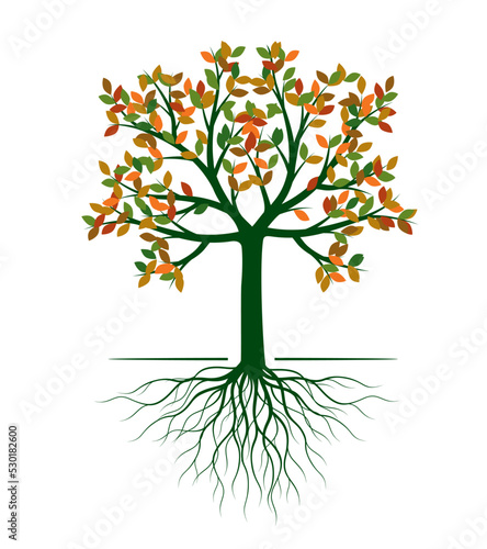Autumn tree with leaves