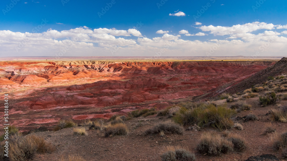 Petrified Forest National Park, Arizona Petrified Forest National Park, Arizona