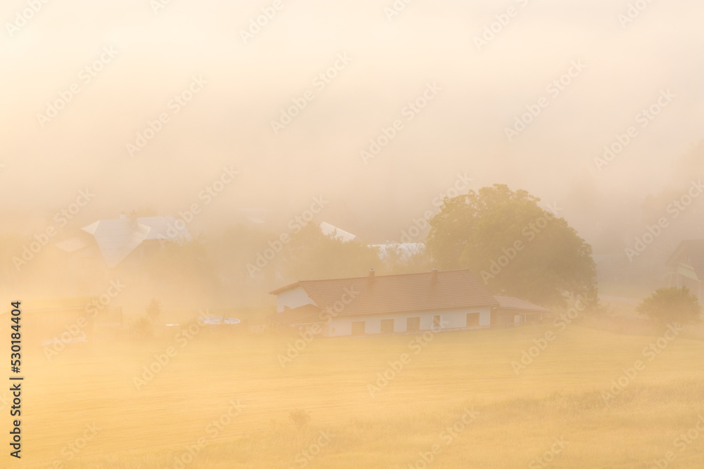 Obraz premium Fog at Socovce village on a summer morning, Slovakia.