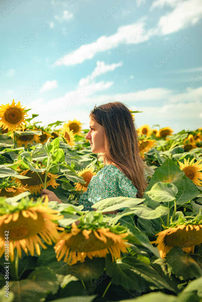 Portrait of a girl among a field of sunflowers during a sunny day Portrait of a girl among a field of sunflowers during a sunny day
