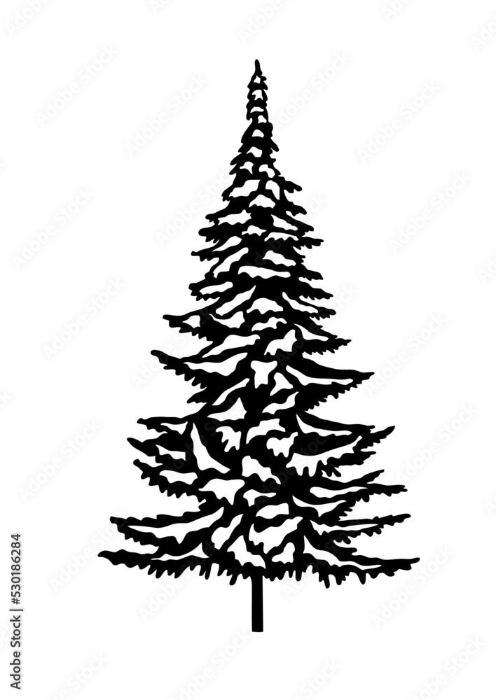 Fir tree, Pine Tree, Christmas tree, Forest Trees Silhouette Bundle, cut file, Tree, forest, nature, Tree shape Fir tree, Pine Tree, Christmas tree, Forest Trees Silhouette Bundle, cut file, Tree, forest, nature, Tree shape