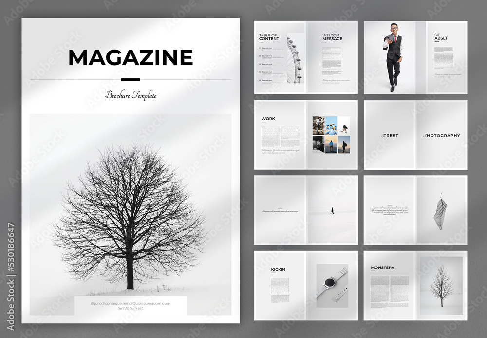 Clean Magazine Layout Stock Template Adobe Stock
