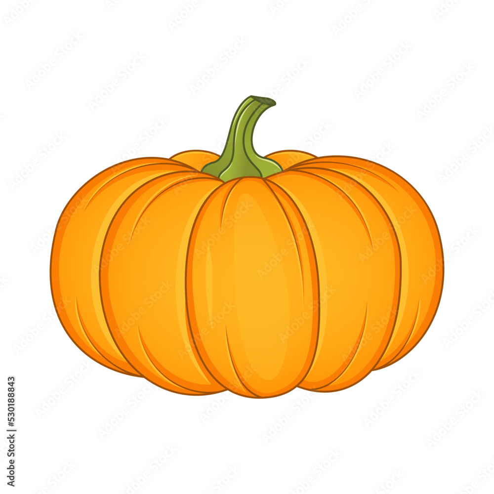 Pumpkin Vector Illustration isolated on white background Pumpkin Vector Illustration isolated on white background