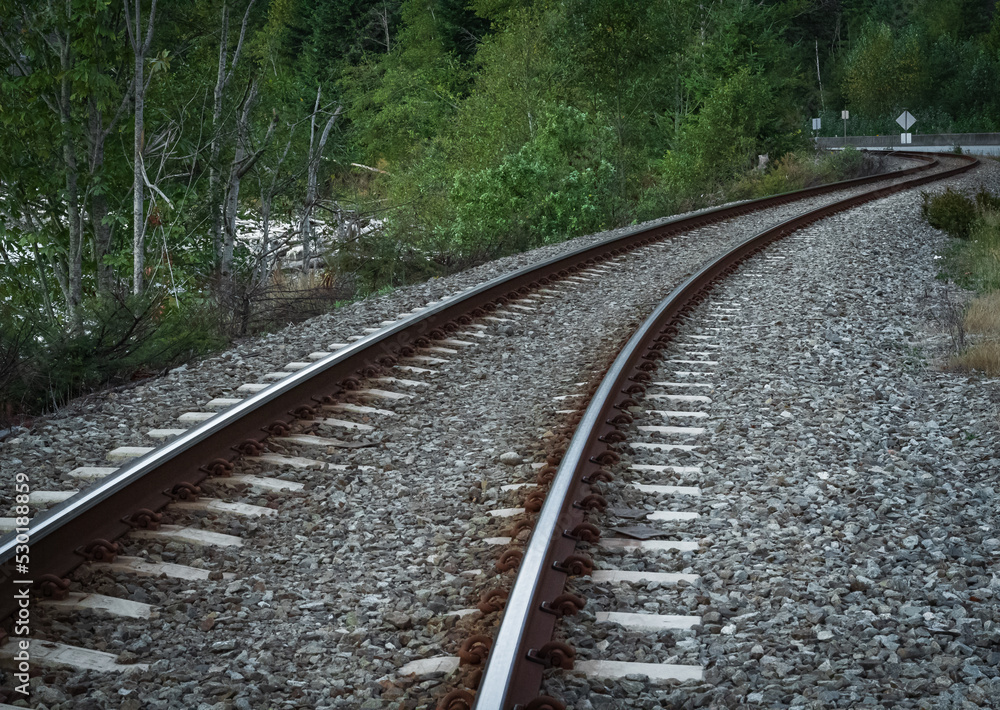 Empty railroad track going into a forest, outdoor landscape. Perspective view