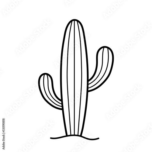 Cactus in doodle sketch style. Hand drawn isolated vector illustration. © Oxy D