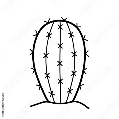 Desert cactus. Exotic prickly plant in sketch doodle style. Hand drawn isolated vector illustration.