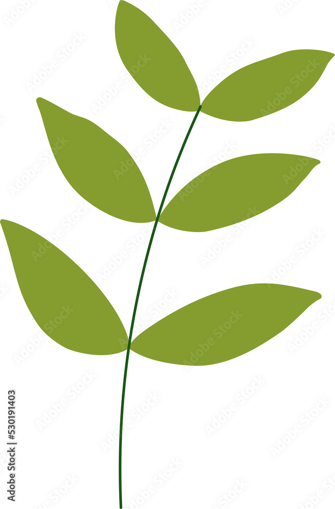 Fototapeta premium tropical leaf illustration. green house plant design element
