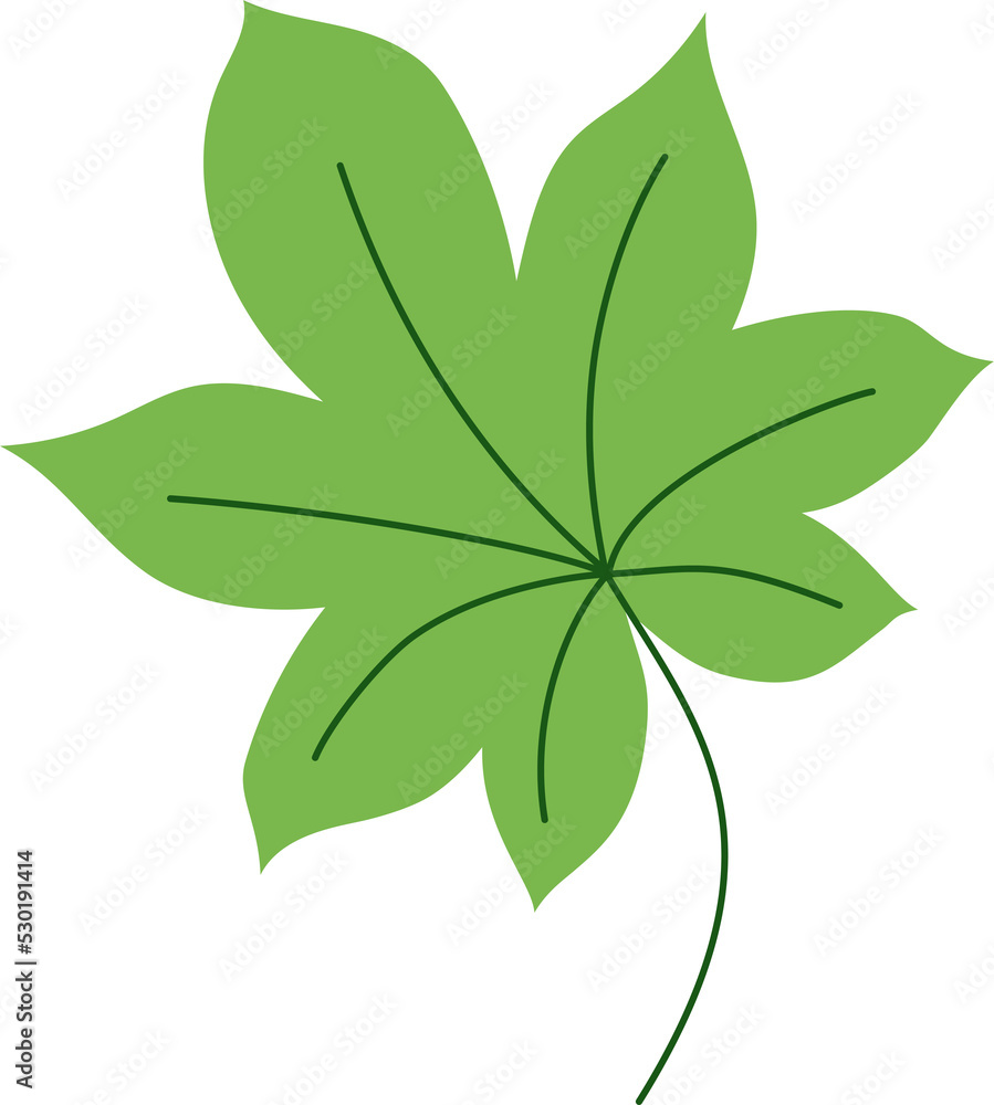 schefflera tropical leaf illustration. green house plant design element schefflera tropical leaf illustration. green house plant design element