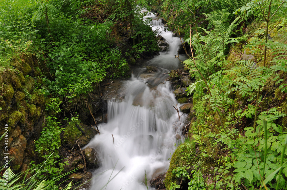 Wasserfall Bach Alm Schweiz