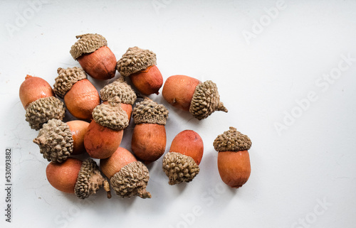 Acorns on acorns