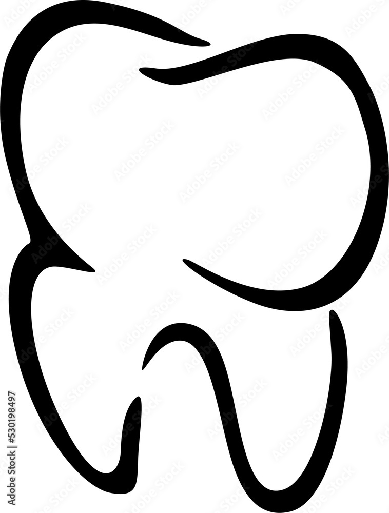 Premolar, molar or canines tooth isolated incisor Premolar, molar or canines tooth isolated incisor