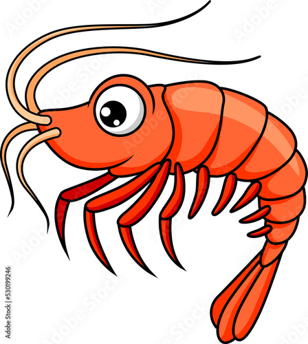 Red shrimp, shellfish prawn cute cartoon character
