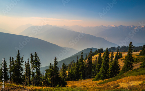 Beautiful mountain top landscape with valleys, spruce trees, and golden hills with wildfire smoke in Olympic National Park, Washington State